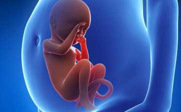 佛山做三代试管的注意事项-三代试管婴儿