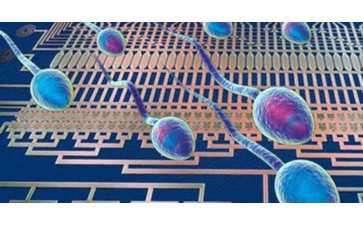 佛山第三代试管pgs筛查疾病列表广东三代试管