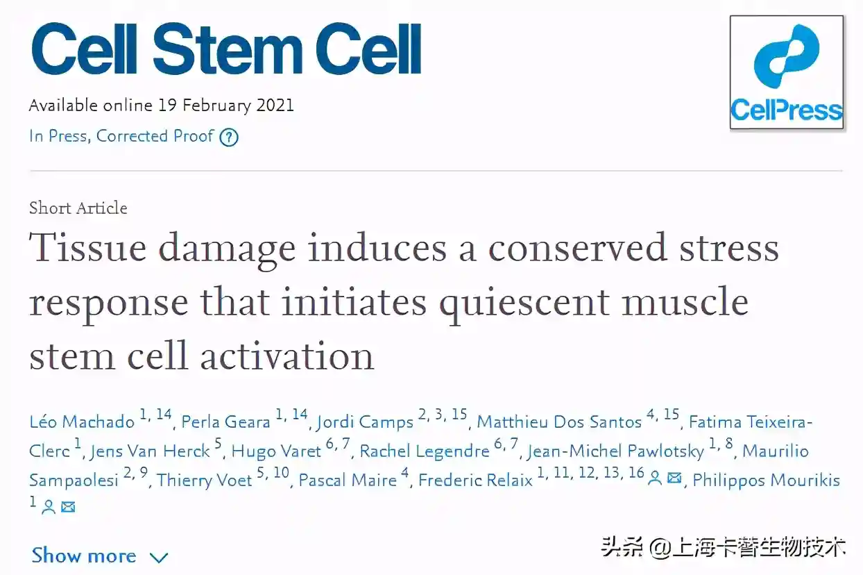 组织损伤下的一种保守压力应答可调控干细胞激活
