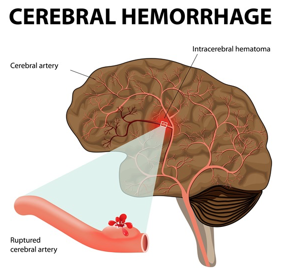 滨海新区：科技“新苗”壮，五“谷”争丰登
