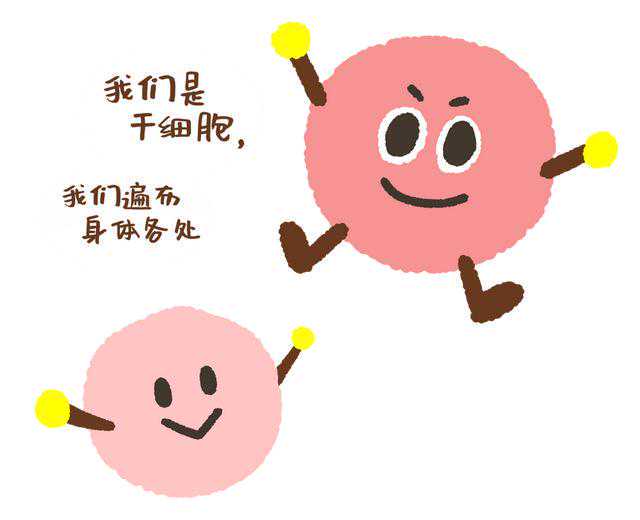 2022年干细胞临床应用及再生医学研讨峰会在济南召开